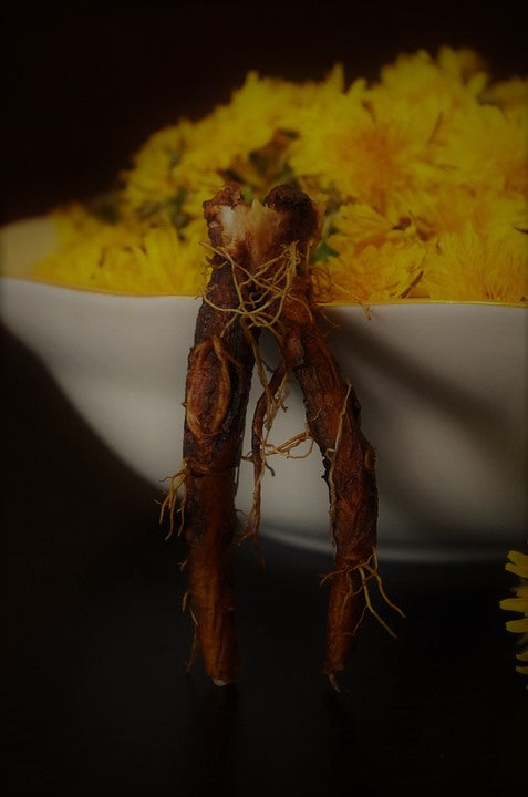 DIY // Roasting Your Own Dandelion Roots